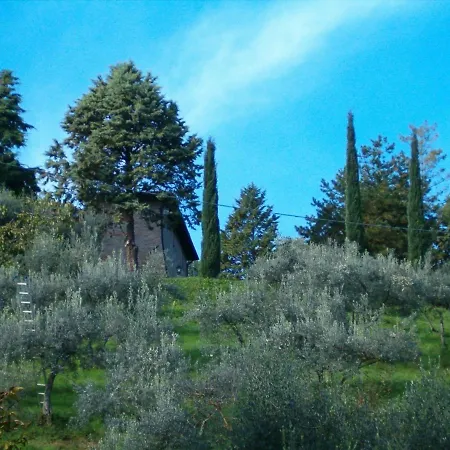 Casale Con Piscina Vista Assisi * 贝托纳